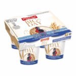 Yaourt Pascual Big Day 500g – Fruits des Bois & Céréales