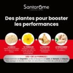 Santarome Tonus Sexuel Maca Tribulus – 20 Ampoules pour Vitalité et Performance – Image 2