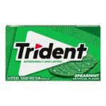 Trident Sugar Free Spearmint Gum 14 Pieces – Chewing Gum Sans Sucre
