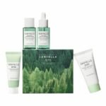 SKIN1004 Madagascar Centella Tea Trica Travel Kit 4pcs | Kit Anti-Acné Apaisant & Séborégulateur Peaux Grasses